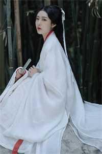 你老谋深算？我一力降十会全文赏析