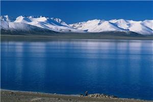 我一心复仇,你们却非要跟我结婚?