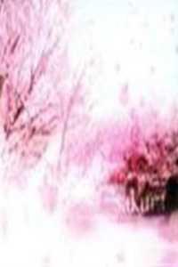 逆天圣皇精心打造